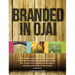 loris-original-lemonade-awards-media